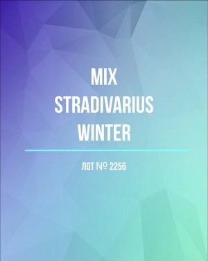 Купить STRADIVARIUS Winter mix#15 кг, ЛОТ №2256 оптом в Магадане и Магаданской области