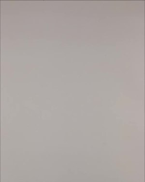 Фотография  532 - Нижнее белье Bon Prix дети#50 шт, ЛОТ №3242 оптом в Магадане и Магаданской области