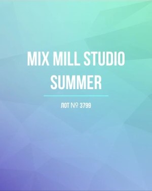 Купить MILL STUDIO Summer mix#15 кг, ЛОТ №3799 оптом в Магадане и Магаданской области