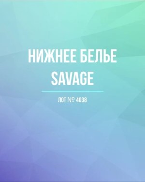 Купить Нижнее белье Savage#50 шт, ЛОТ №4038 оптом в Магадане и Магаданской области