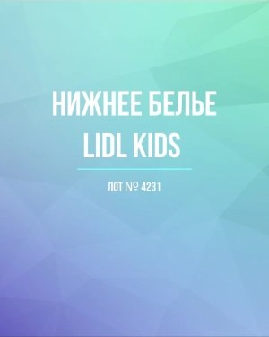 Купить Нижнее белье LIDL Kids#5 кг, ЛОТ №4231 оптом в Магадане и Магаданской области