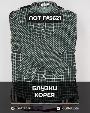 Купить Блузки Корея#20 шт, ЛОТ №5621 оптом в Магадане и Магаданской области