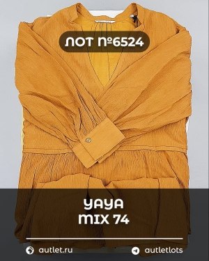 Купить YA YA 062024#39 шт, ЛОТ №6524 оптом в Магадане и Магаданской области