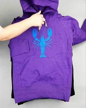 Фотография  723 - Толстовки м/ж (Sweat Tops)#20 кг, ЛОТ №7431 оптом в Магадане и Магаданской области