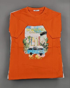 Купить Футболки мужские C-3141 (MEN T-shirt Sorbino) #4,7 кг, ЛОТ №8833 оптом в Магадане и Магаданской области